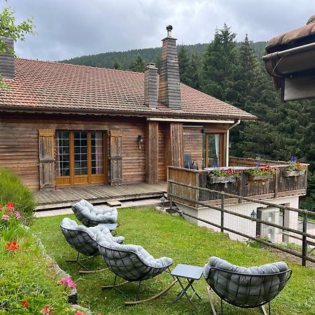 Bed and Breakfast Au 21 Vosgien Ventron Exterior foto